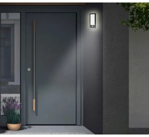 Telefunken 313905TF -LED Vonkajšie svietidlo so senzorom LED/16W/230V IP44