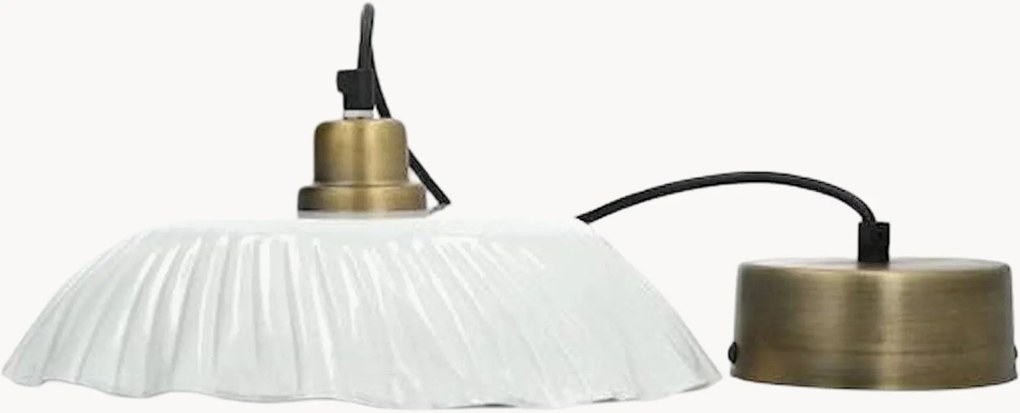 Závesné svietidlo Hyacinth