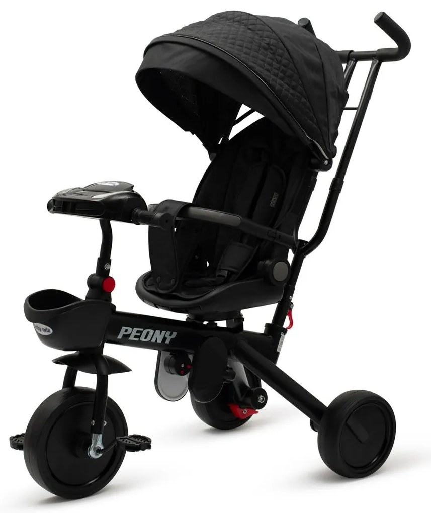 Detská trojkolka Baby Mix Peony EVA čierna