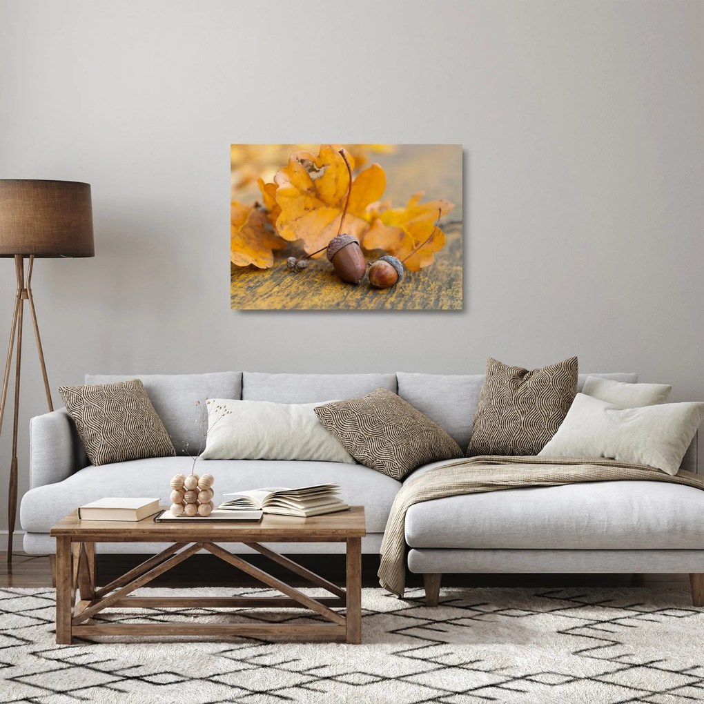 Sklenený obraz - Jesenné žalude (70x50 cm)