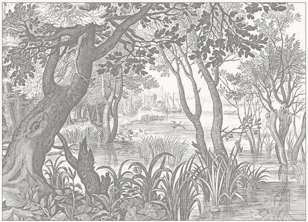 Vliesová tapeta Engraved Landscapes