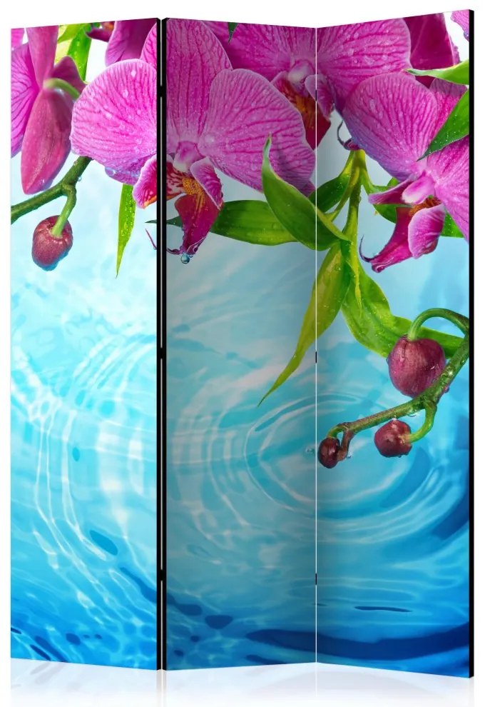 Artgeist Paraván - Orchids over Water [Room Dividers]