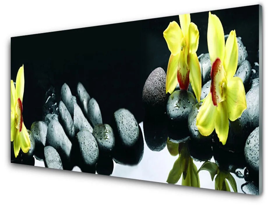 Obraz na akrylátovom skle Kvet kamene 140x70 cm