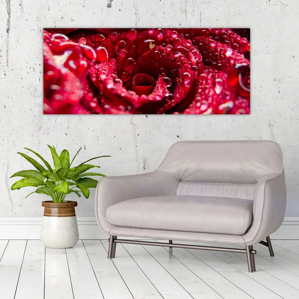Obraz kvetu červenej ruže (120x50 cm)