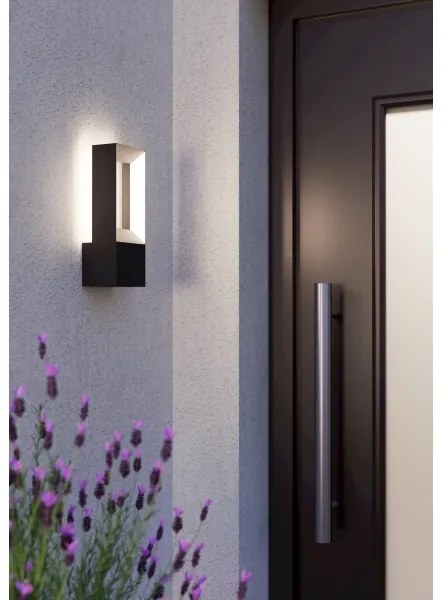 Eglo 98725 - LED Vonkajšie nástenné svietidlo RIFORANO 2xLED/5W/230V IP44