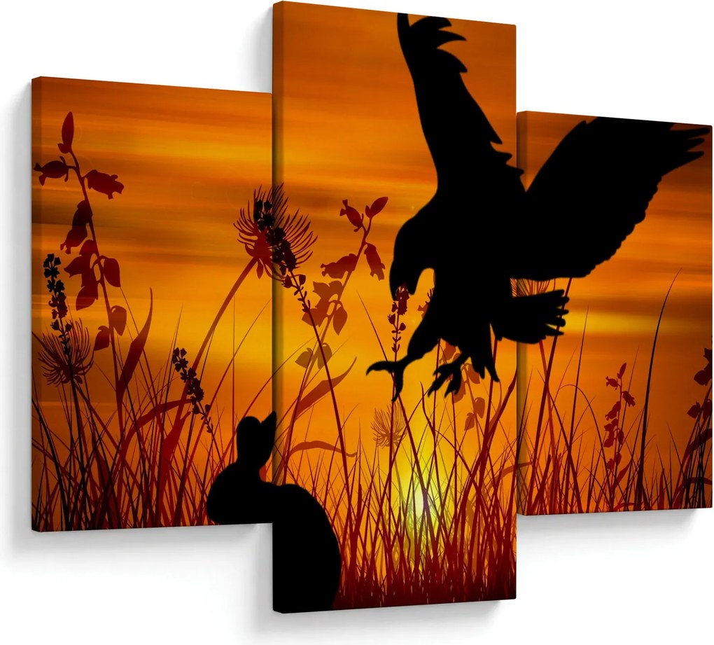 Obraz siluety dravca (90x60 cm)