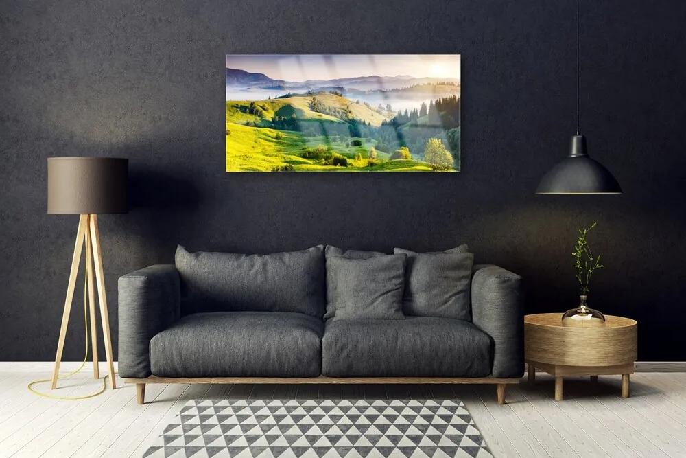 Obraz na skle Hora pole hmla príroda 125x50 cm