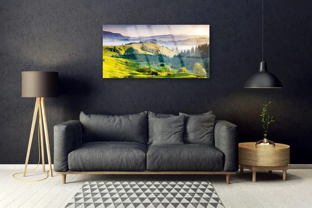 Obraz na skle Hora pole hmla príroda 140x70 cm