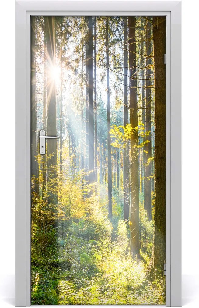 Fototapeta na dvere  slnka v lese