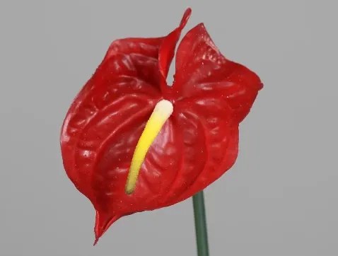 Umelá kvetina Anthurium 65 cm, červená%