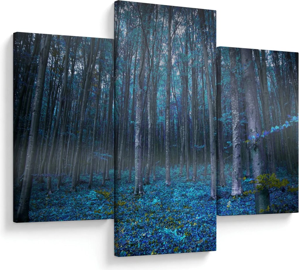 Obraz - Magický les (90x60 cm)