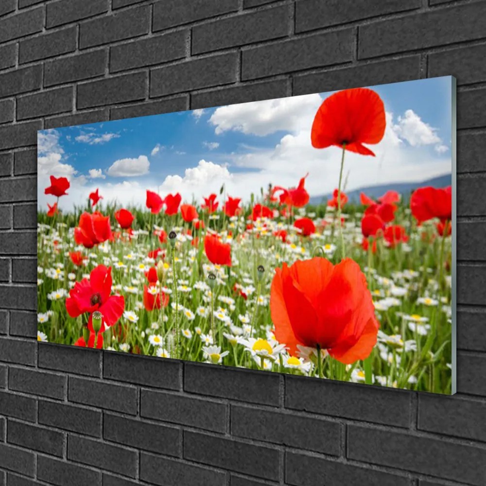 Skleneny obraz Lúka kvety príroda 100x50 cm