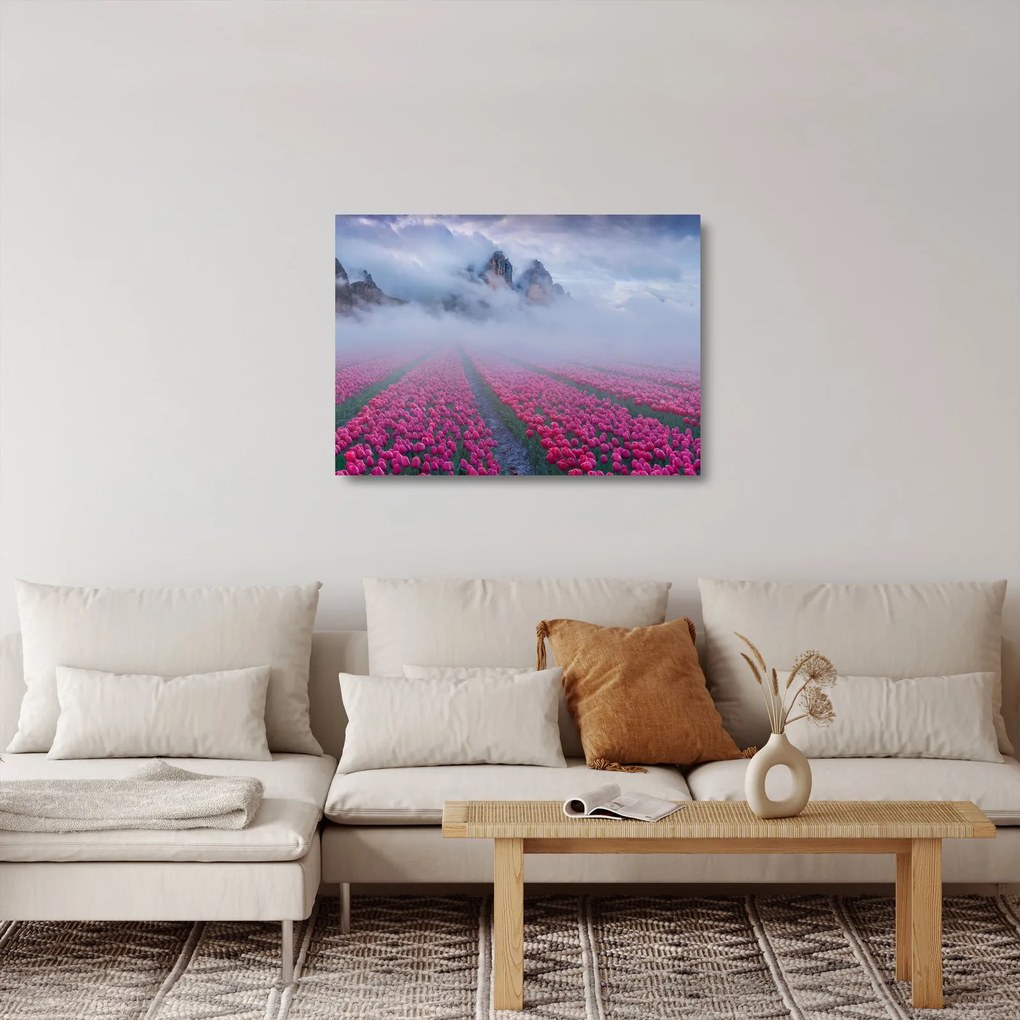 Sklenený obraz - Krajina s tulipánovými poľami (70x50 cm)