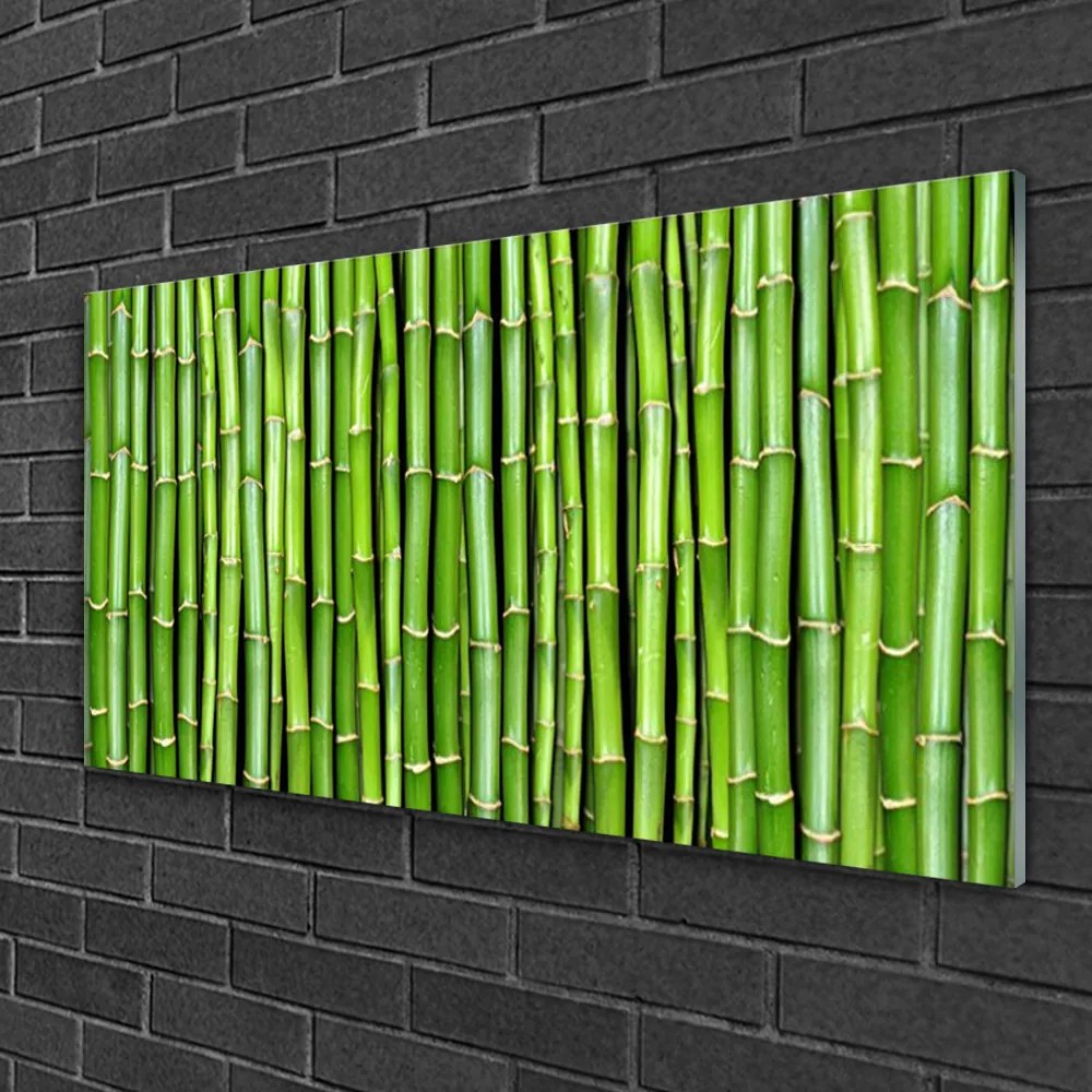 Obraz na skle Bambus kvet rastlina 100x50 cm