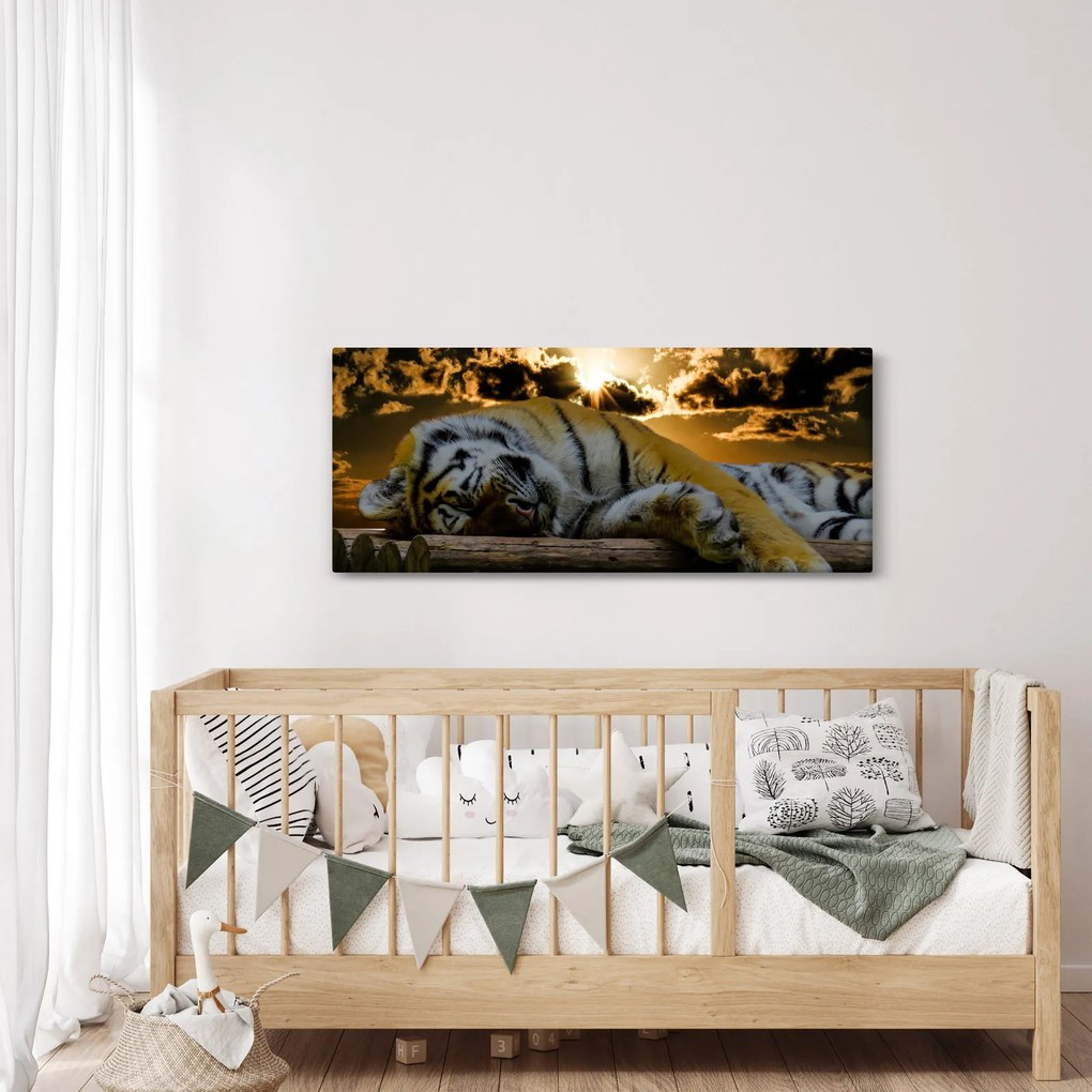 Obraz spiaceho tigra (120x50 cm)