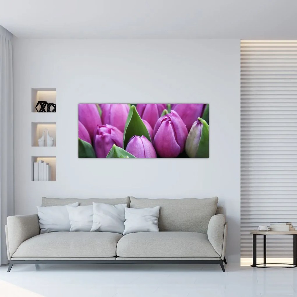 Obraz - kvety tulipánov (120x50 cm)