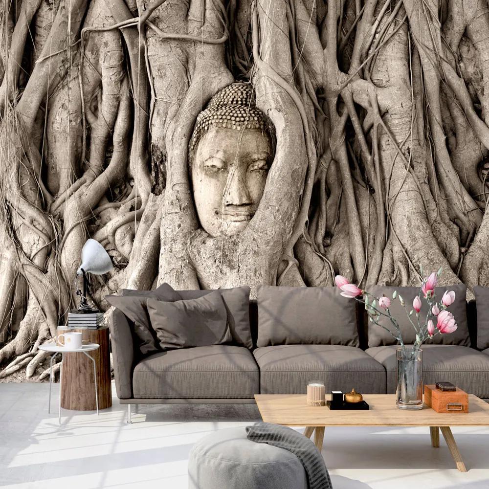 Artgeist Fototapeta - Buddha's Tree Veľkosť: 147x105, Verzia: Samolepiaca