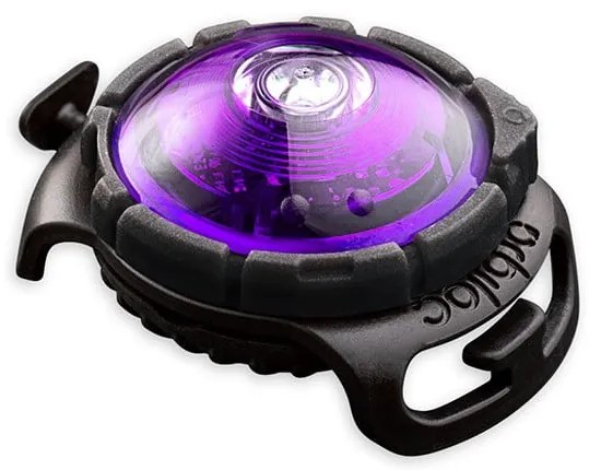 LED svetlo na obojok Purple – Orbiloc