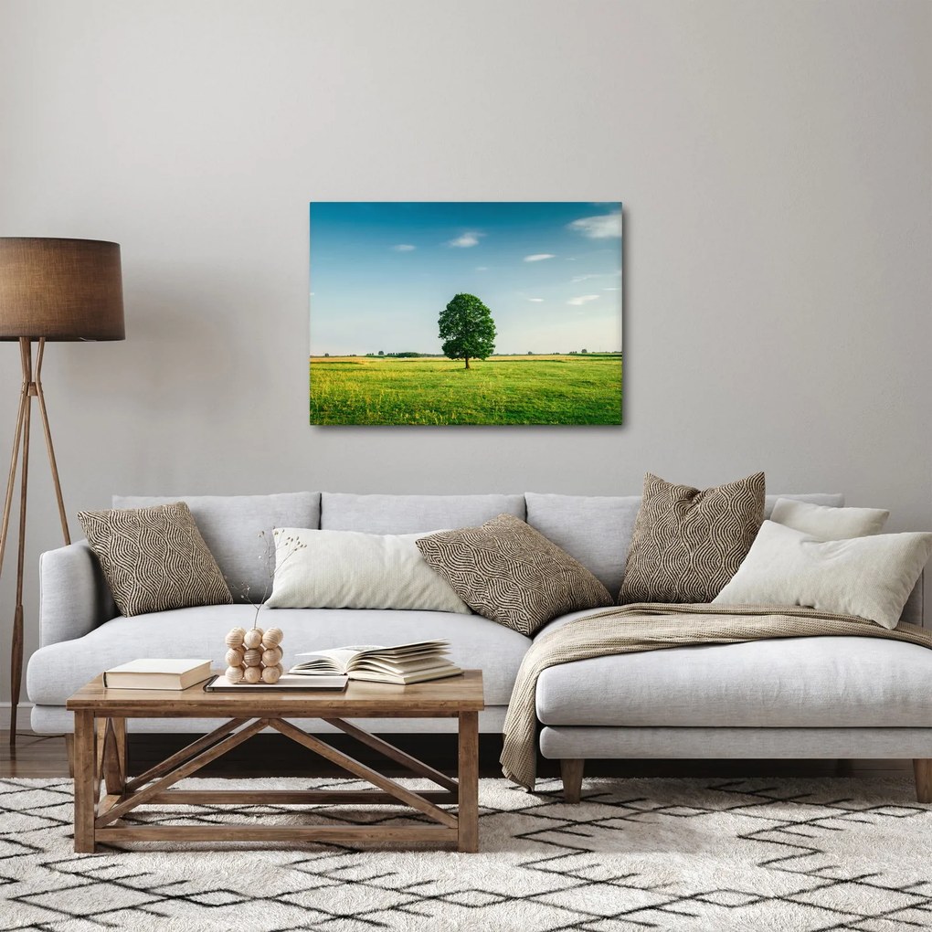 Obraz stromu uprostred lúky (70x50 cm)