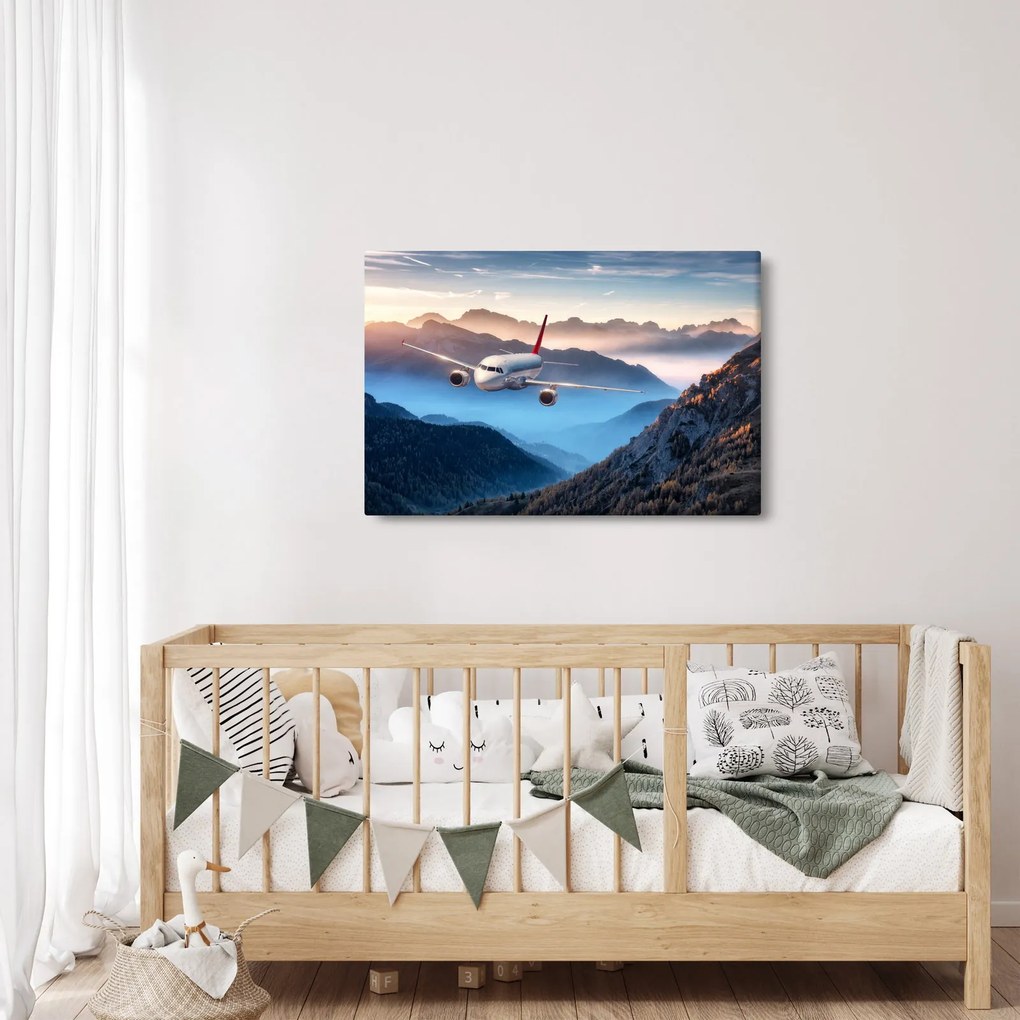 Obraz - Lietadlo nad vrcholmi hôr (90x60 cm)