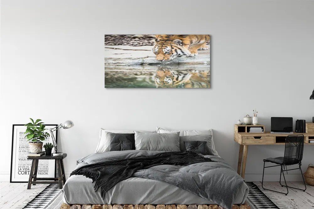 Obraz na akrylátovom skle Tiger pitie 125x50 cm