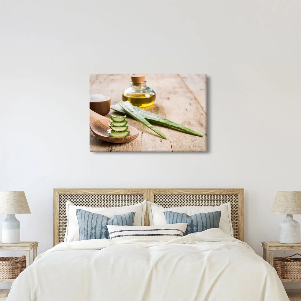 Obraz - Aloe vera (90x60 cm)
