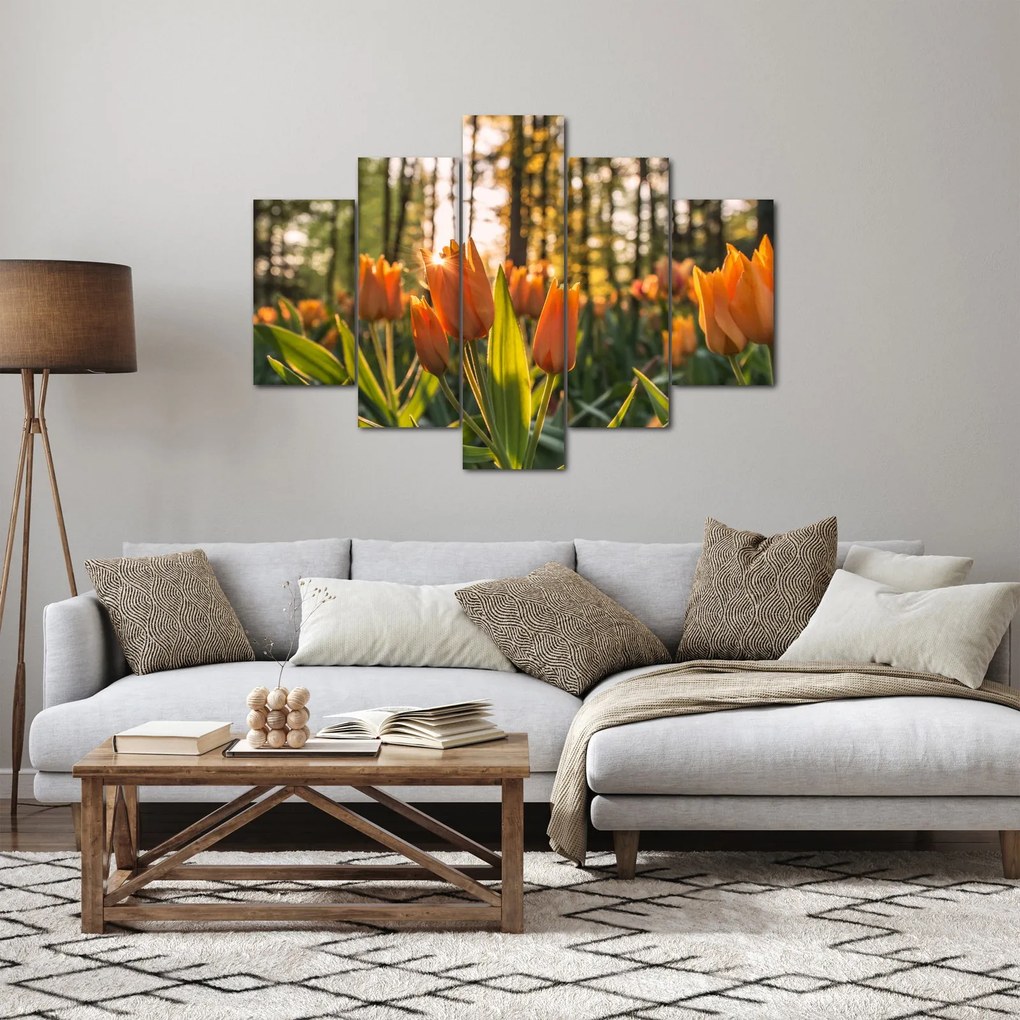 Obraz - kvety tulipánov (150x105 cm)