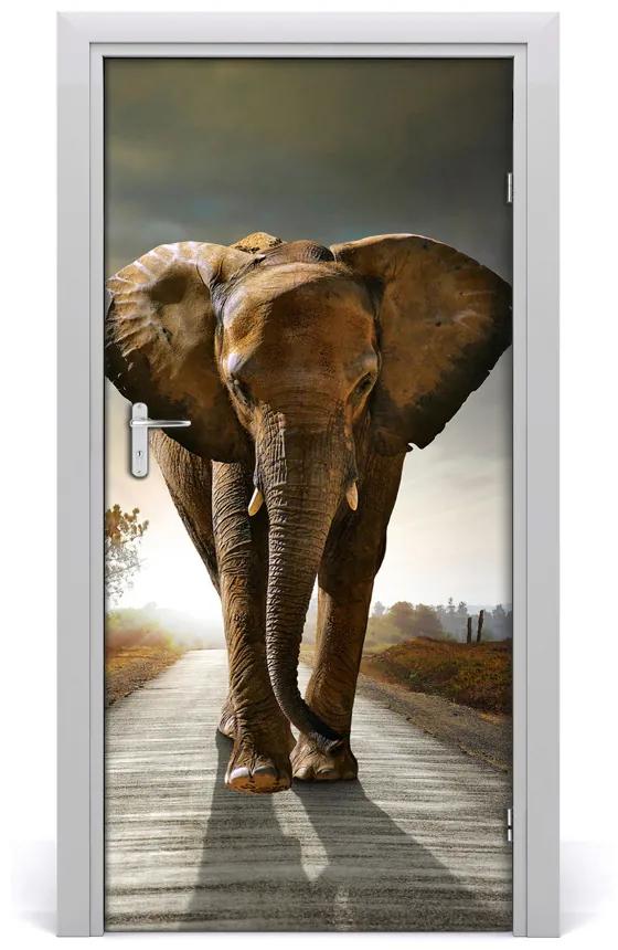 Samolepiace fototapety na dvere chodiaci slon 85x205 cm