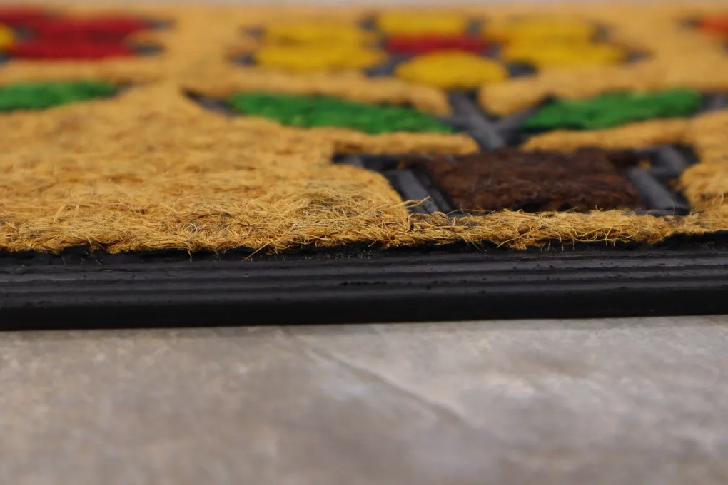 Rohožka Kokos + guma Tri kvety – na von aj na doma, 40x60, viacfarebná, chodba / predsieň, Hamat