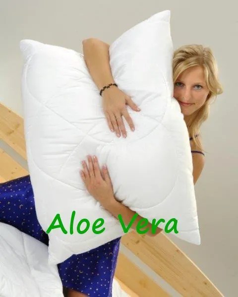 Brotex Paplón zimný 140x200cm 1300g + vankúš 70x90cm Aloe Vera