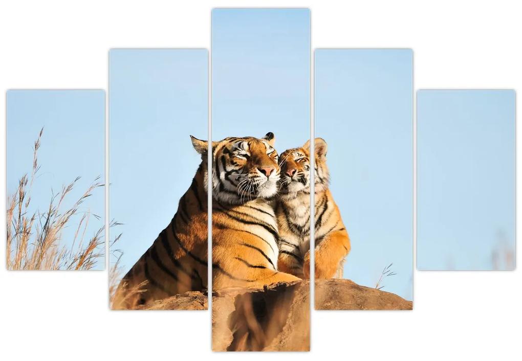Obraz - Tigrice a jej mláďa (150x105 cm)