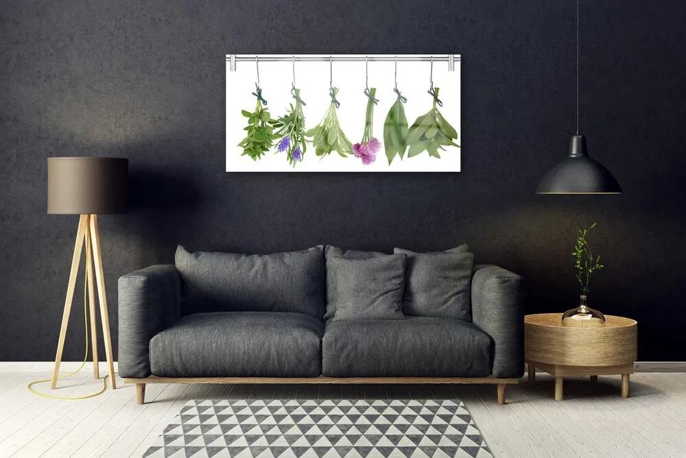 Skleneny obraz Sušené byliny listy kvety 140x70 cm