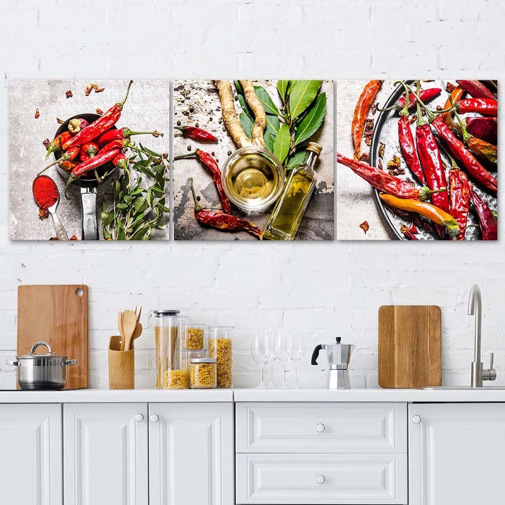 Gario Sada obrazov na plátne Sušené červené chilli papričky - 3 dielna Rozmery: 90 x 30 cm