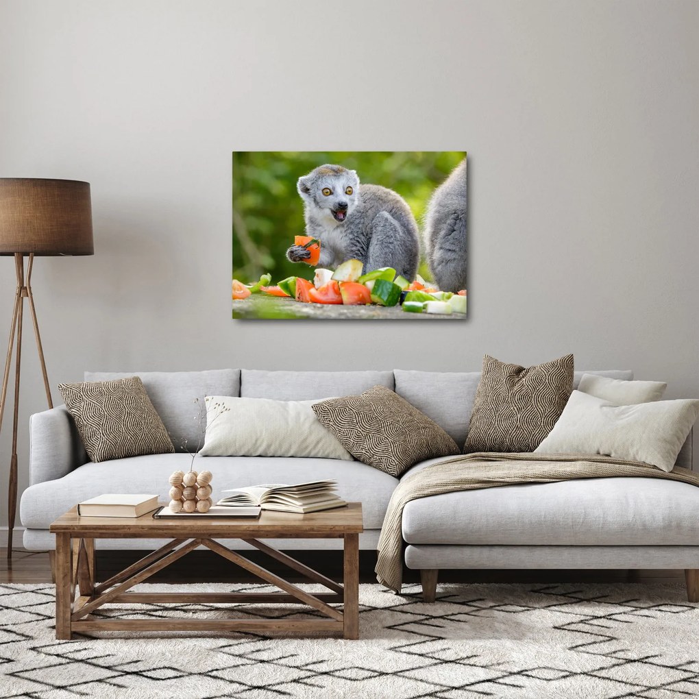 Obraz lemura (70x50 cm)