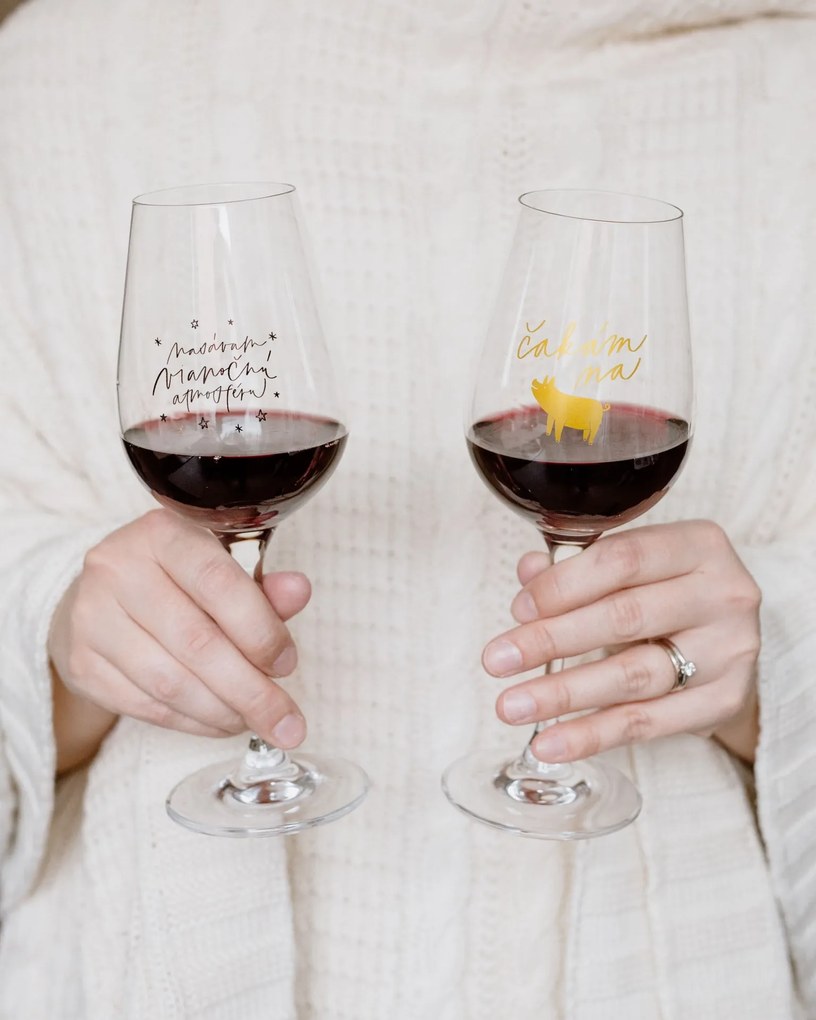 Bella Rose Pohár na víno Nasávam vianočnú atmosféru + vianočná krabička