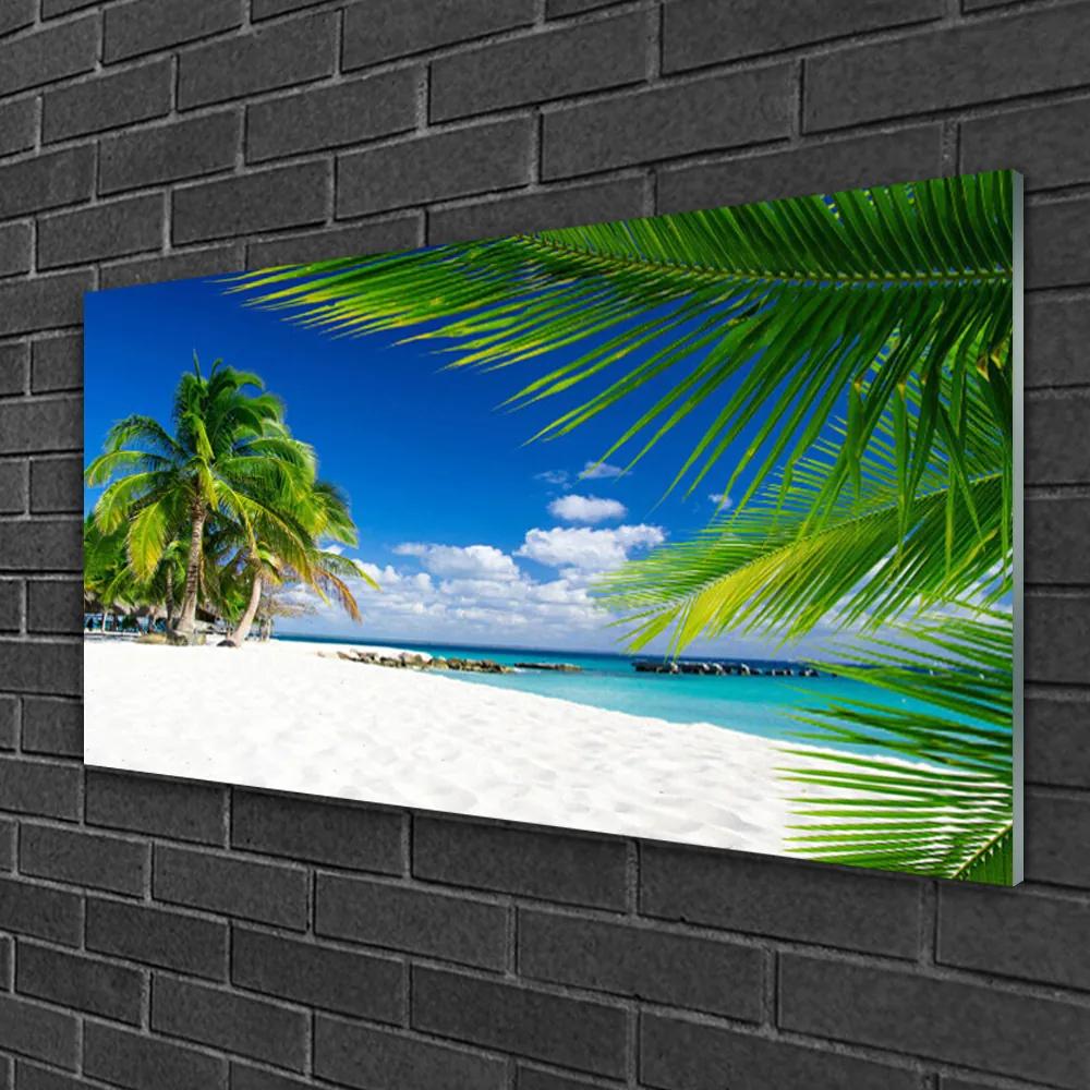 Skleneny obraz Tropická pláž more výhľad 125x50 cm