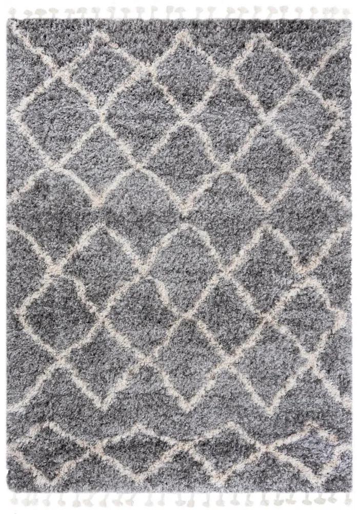 Kusový koberec shaggy Axaya sivý 200x300cm