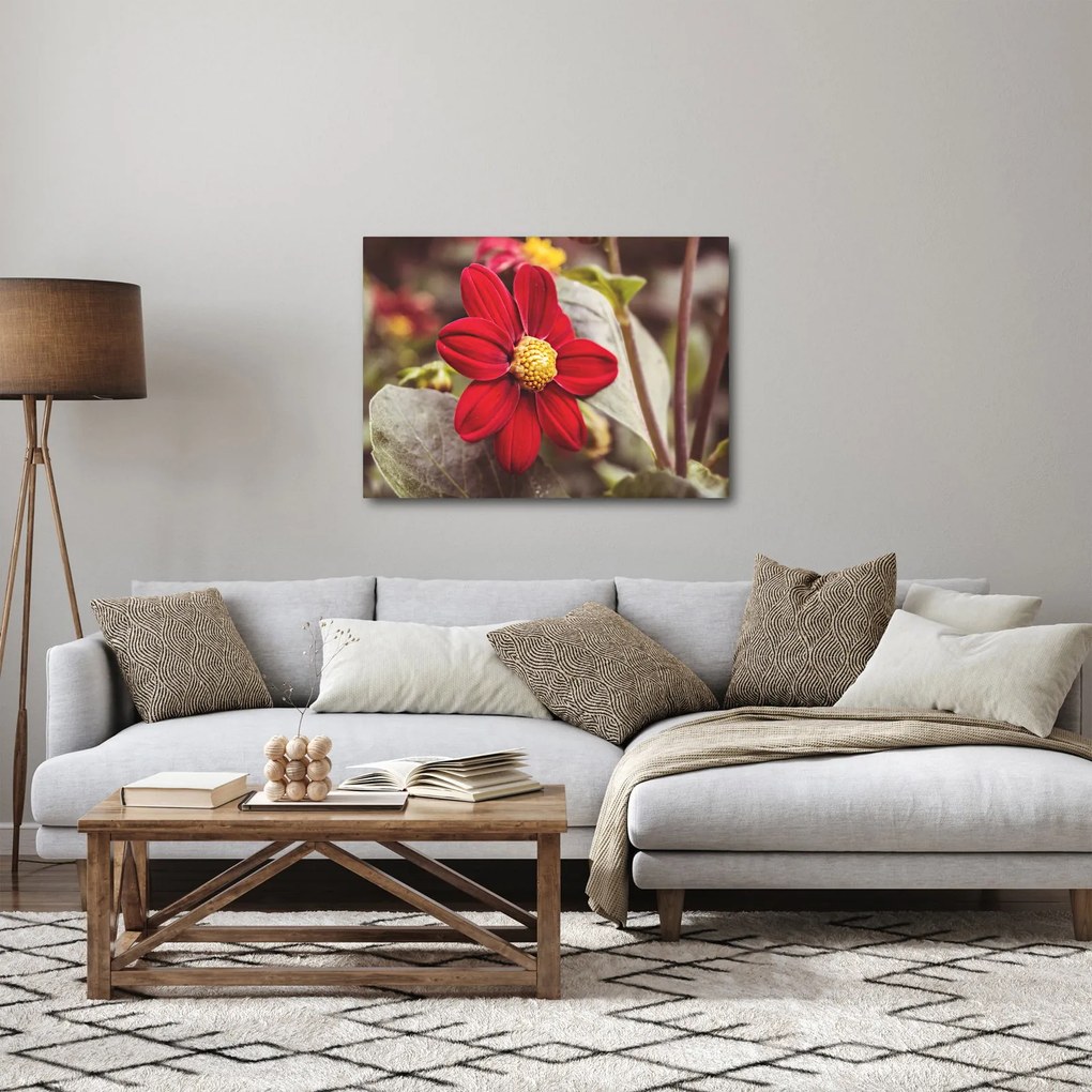 Obraz kvetiny (70x50 cm)