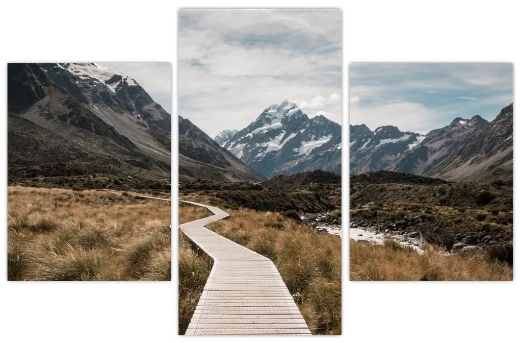 Obraz - Chodník v údolí hory Mt. Cook (90x60 cm)