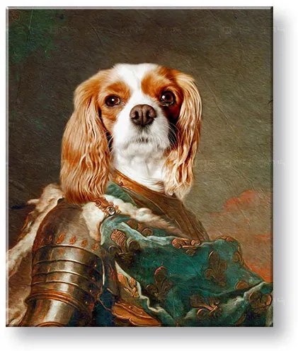 Obraz z fotky na plátne Generál_1 – 40x50 cm | rôzne uniformy