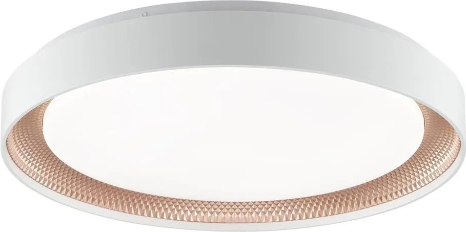 Brilliant - Stmievateľné LED stropné svietidlo WALDO LED/36W/230V biela/ružové zlato + diaľkový ovládač