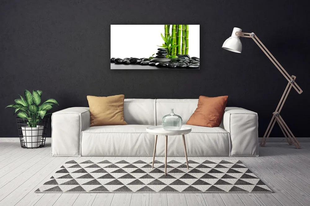 Obraz na plátne Bambus kamene umenie 100x50 cm