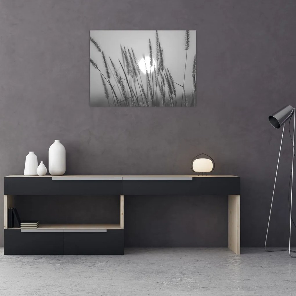 Sklenený obraz - Lúka pri západe slnka (70x50 cm)