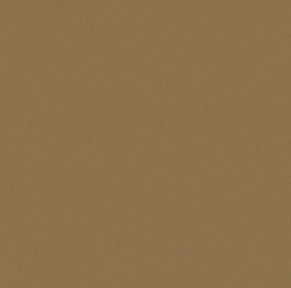 Lentex, PVC podlaha - lino Flexar PUR 603-06 hnedá, na mieru, šíře 2m,4m, hnedá, bez podkladu, kancelária