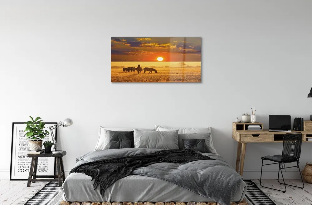 Obraz plexi Zebra západ mraky 100x50 cm