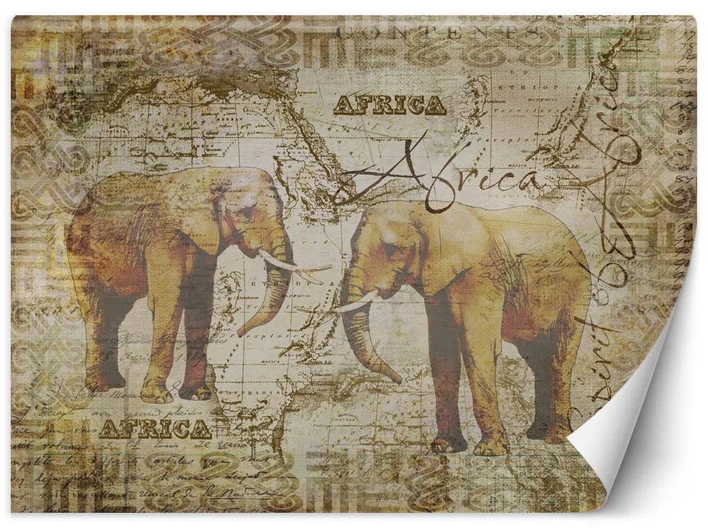 Gario Fototapeta Stará mapa a slony - Andrea Haase Materiál: Vliesová, Rozmery: 100 x 70 cm