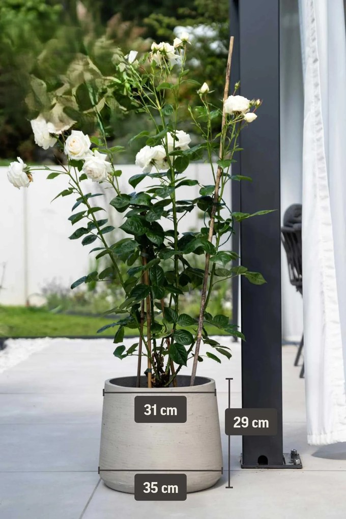 Kvetináč TROPICO, sklolaminát, výška 29 cm, béžová