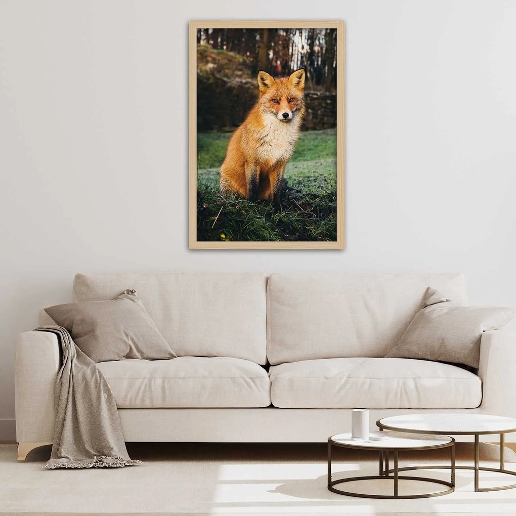 Gario Plagát Líška v lese Farba rámu: Bez rámu, Rozmery: 40 x 60 cm
