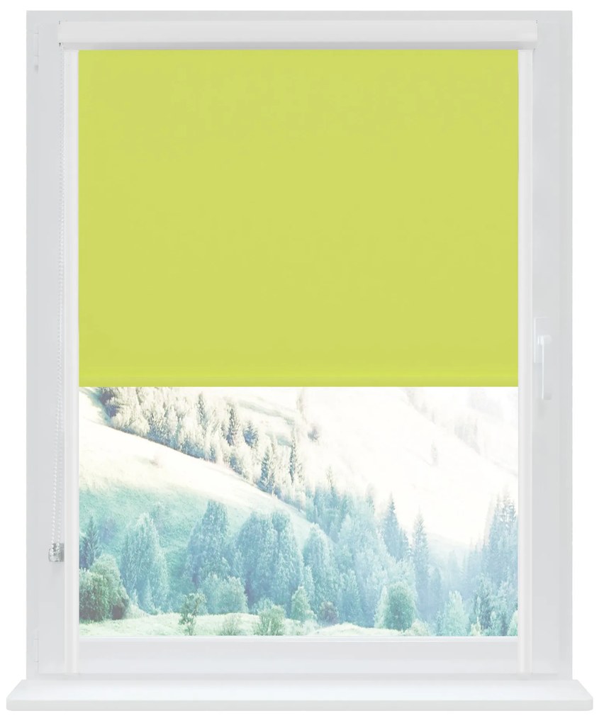 Dekodum Klasická mini roleta v bielej kazete, farba látky Mäta Šířka (cm): 59, Dĺžka (cm): 150, Strana mechanizmu: Práva