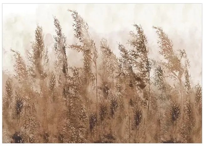 Fototapeta - Tall Grasses - Brown Veľkosť: 250x175, Verzia: Standard